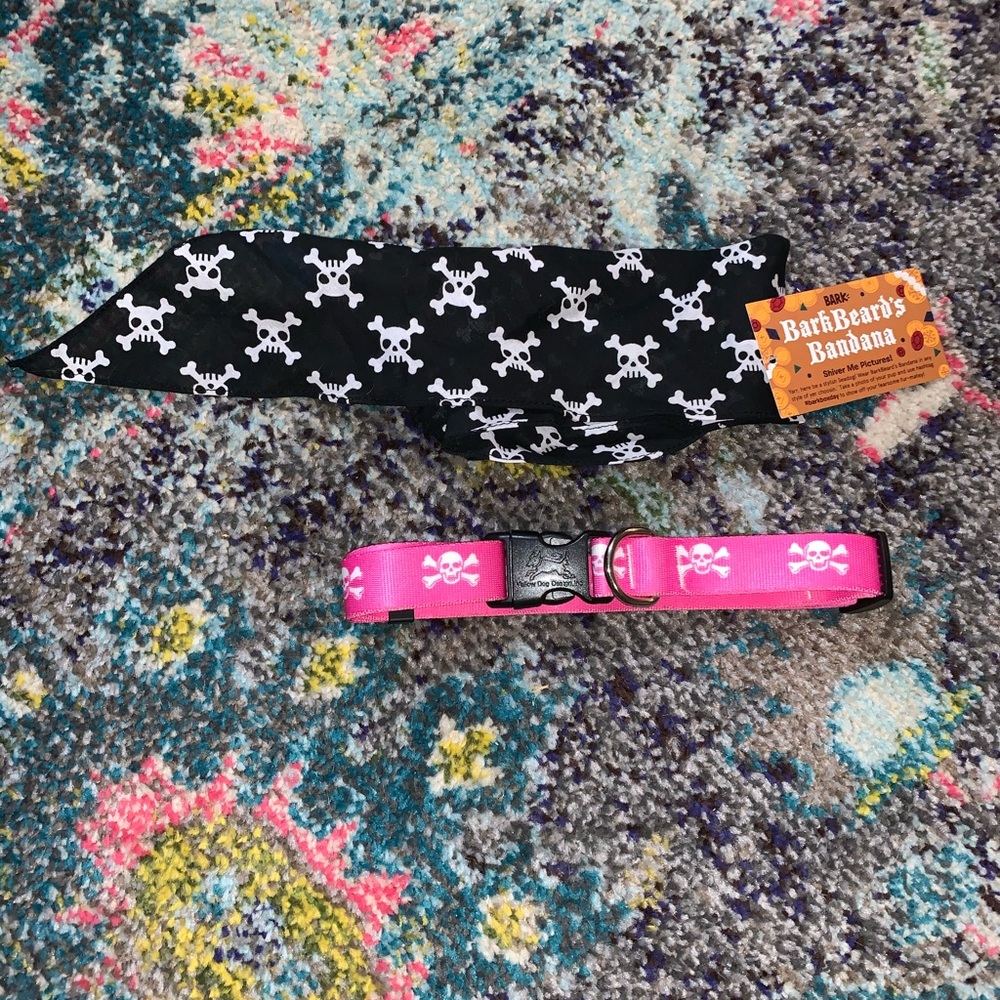 ๐ดโโ ๏ธ dog collar and bandana ๐ถ - Picture 1 of 2